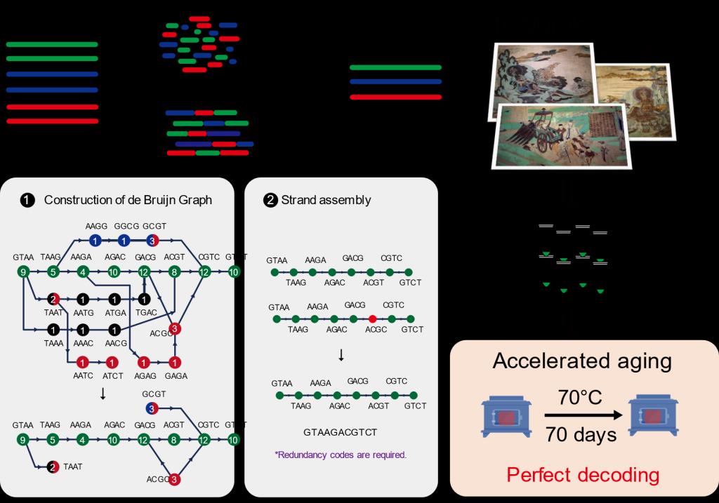 Ps Strand Storage TJU Researchers Innovate DNA Storage Tech for Mural Preservation-天津大学教师 ...